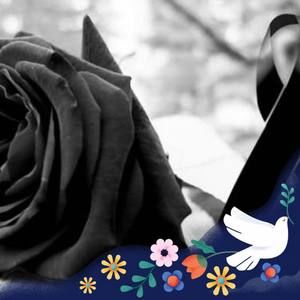 Meet your Posher, Anabel